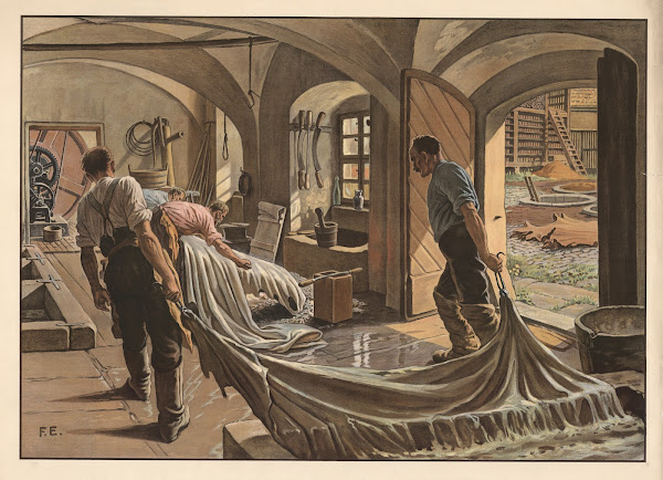 Tanner 1904