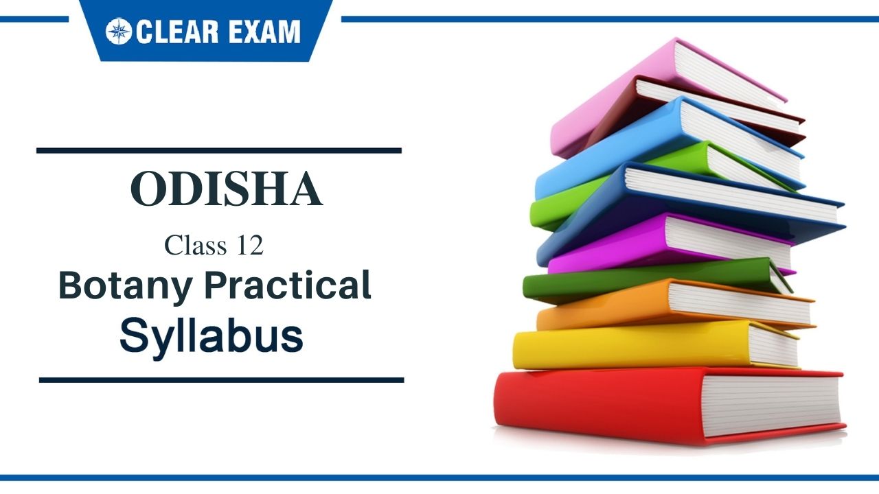 Electrostatic Potential and Capacitance