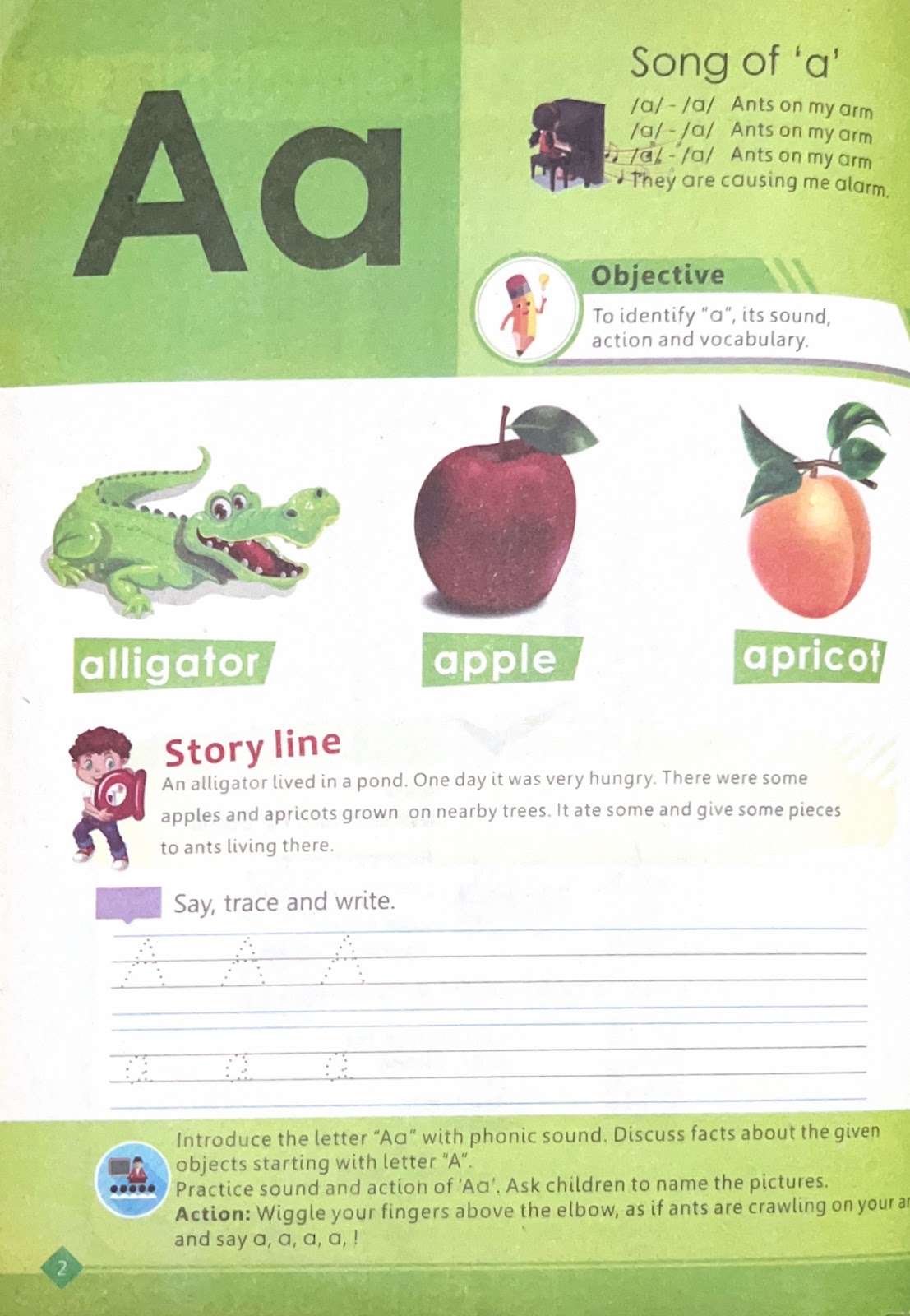 English Book B - Activity Book