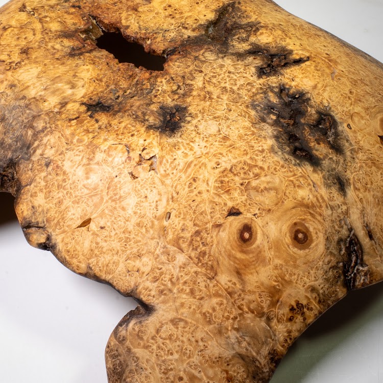 Manitoba Maple Burl - St. Boniface - 15" view 10