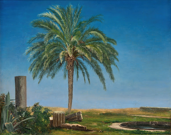 Ruins in a landscape with a palm tree