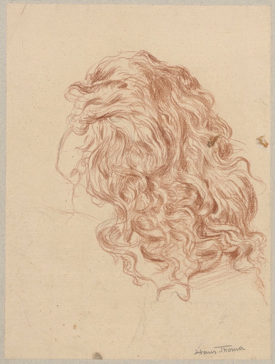 Study of female hair 1890   1910
