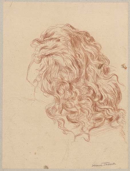 Study of female hair 1890   1910