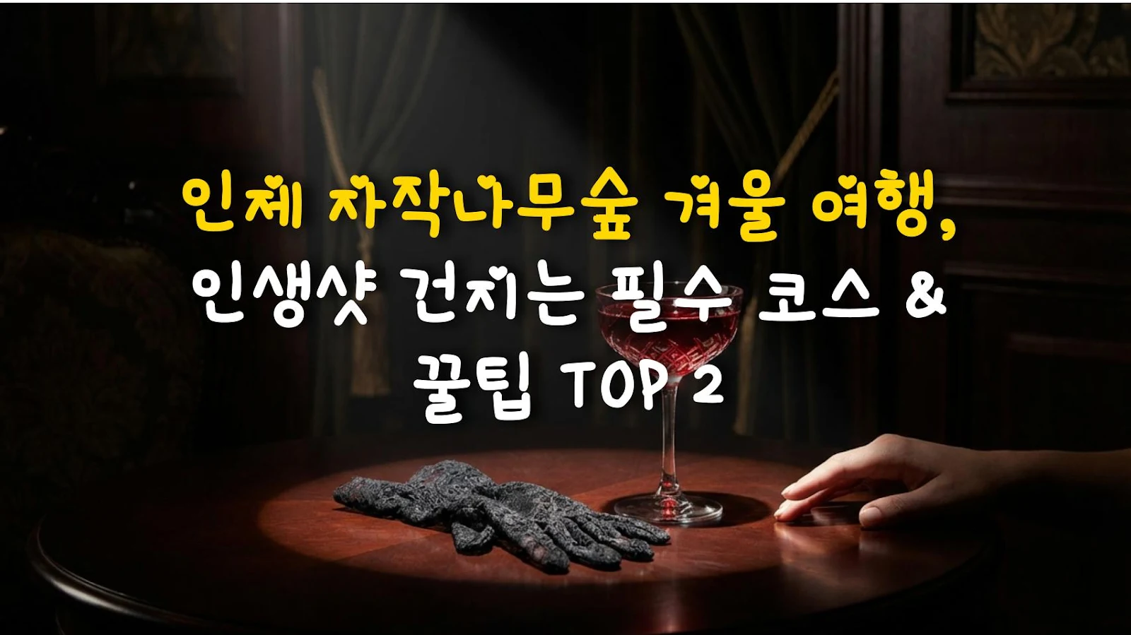 인제 자작나무숲 겨울 여행, 인생샷 건지는 필수 코스 & 꿀팁 TOP 2