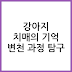 강아지 치매에서 기억 인식이 흐려지는 과정