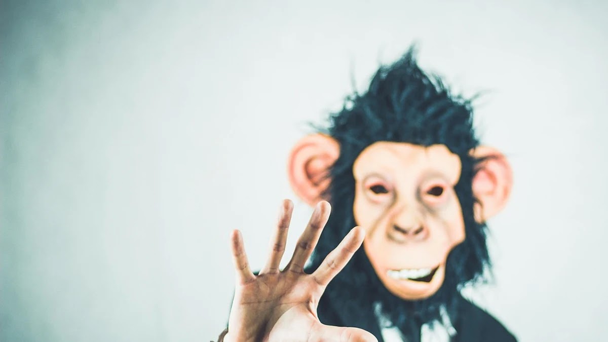 직무역량별 성장 방법과 실무