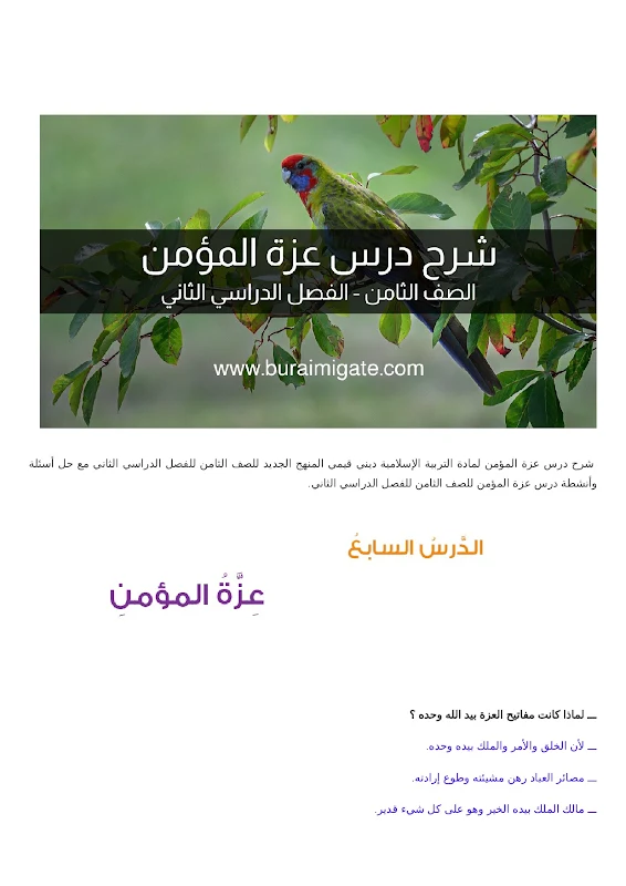 صورة الغلاف