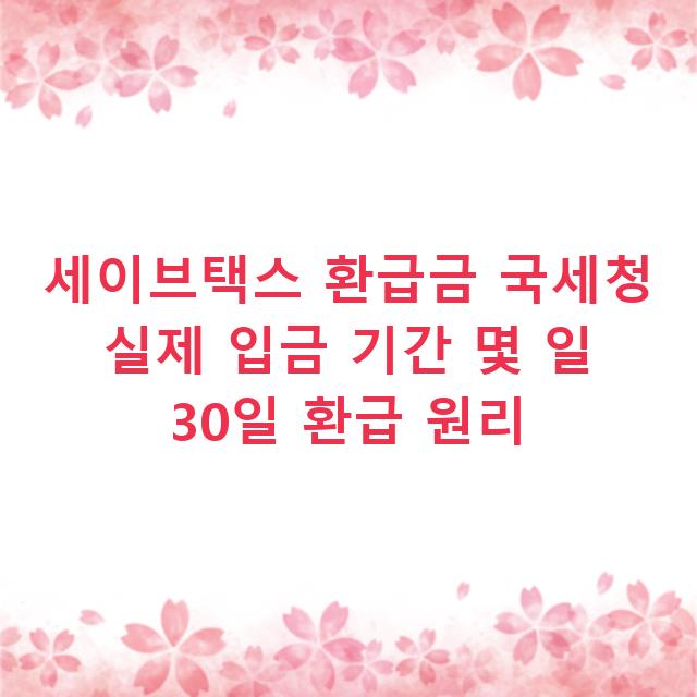 세이브택스 환급금 국세청 실제 입금 기간 몇 일 30일 환급 원리