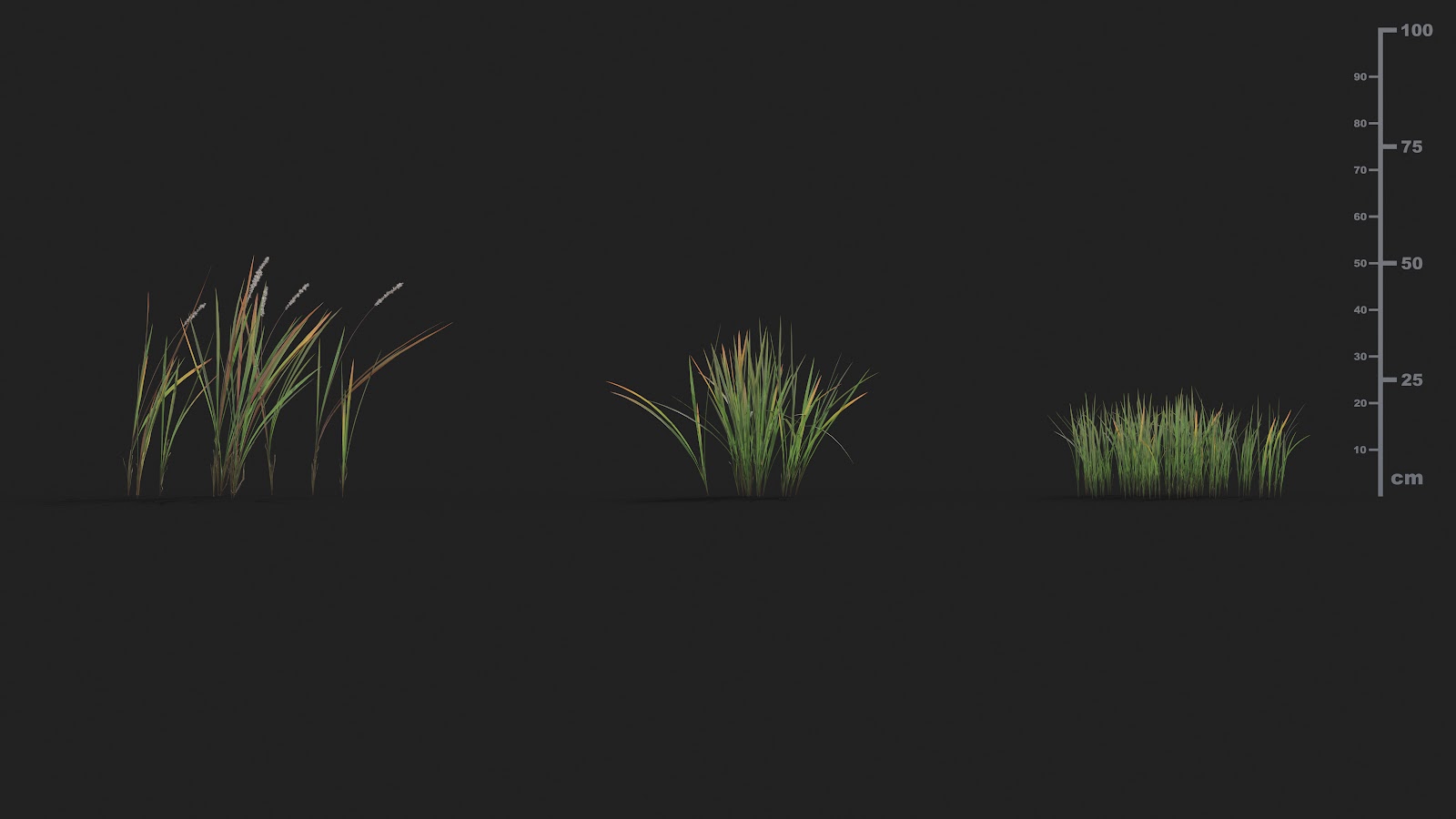Maxtree - Plant Models Vol.21
