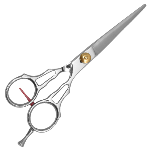 Razor Edge Shears SD-305-205-09 Titanium Coated Shears