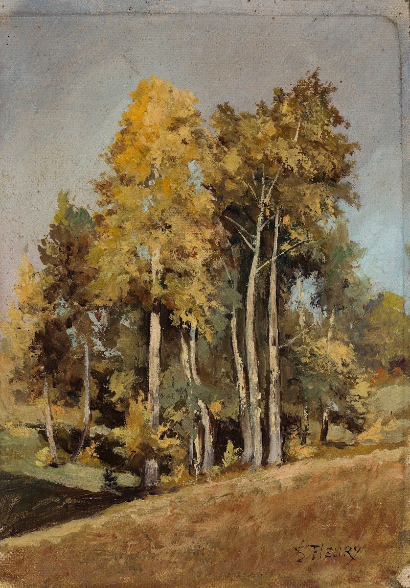 Study Of Trees