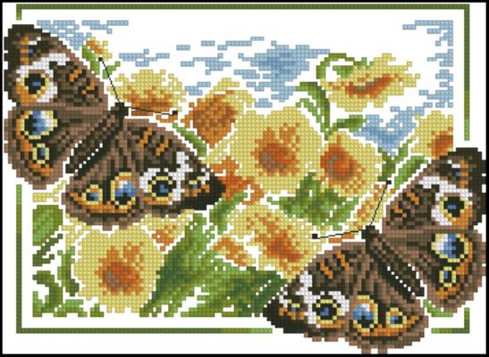 CMP 130071 Butterflies