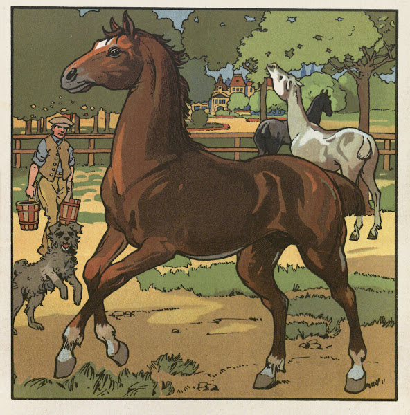 Unsere Haustiere Pl03 1911