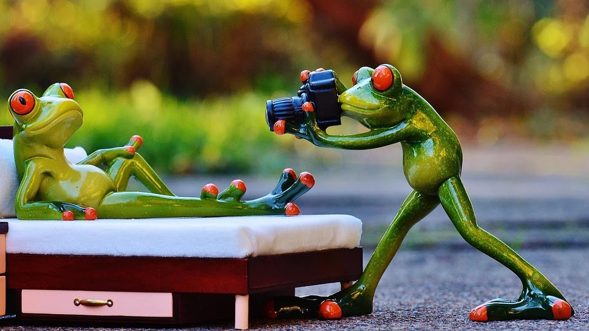 영양제별 혈압·혈당 개선 효능과 올바른 복용법 비교