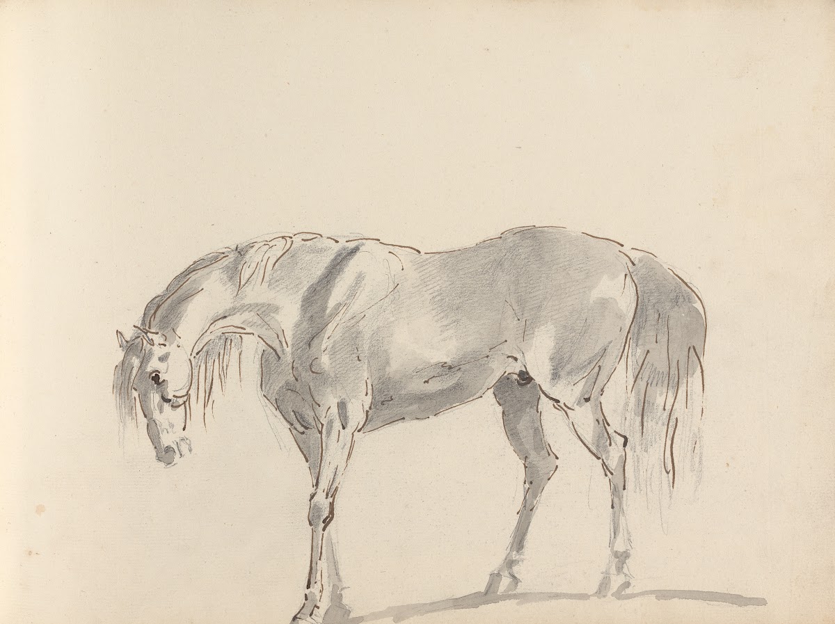 Fourty three Studies of Horses and Riders Pl39 1787