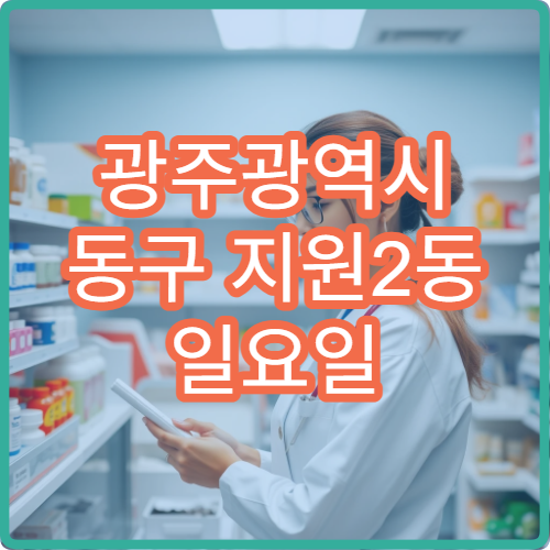 광주광역시 동구 지원2동 일요일 당직 약국 소염진통제 판매