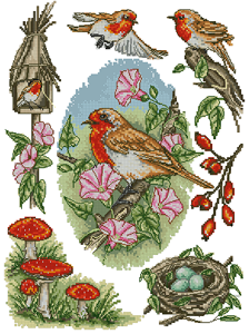 CMP PCE855 Robin