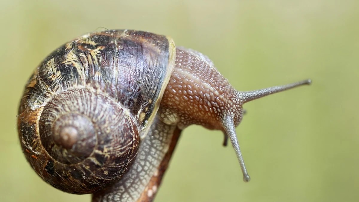 스마트워치 센서 종류와 기능별 활용도 비교