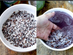 Nấu xôi: trộn 100g gạo nếp trắng cùng 100g nếp than với nhau, đem đi vo sạch, ngâm khoảng 1 tiếng. Có thể ngâm nếp vào đêm hôm trước cho nếp nở mềm, ngon hơn nếu có nhiều thời gian nha. Chế lượng nước vừa đủ vào nồi, thêm chút muối và bắt nếp lên bếp nấu chín khoảng 25 - 30 phút. Xôi chín thì mở nắp, xới lên cho nhanh nguội.
