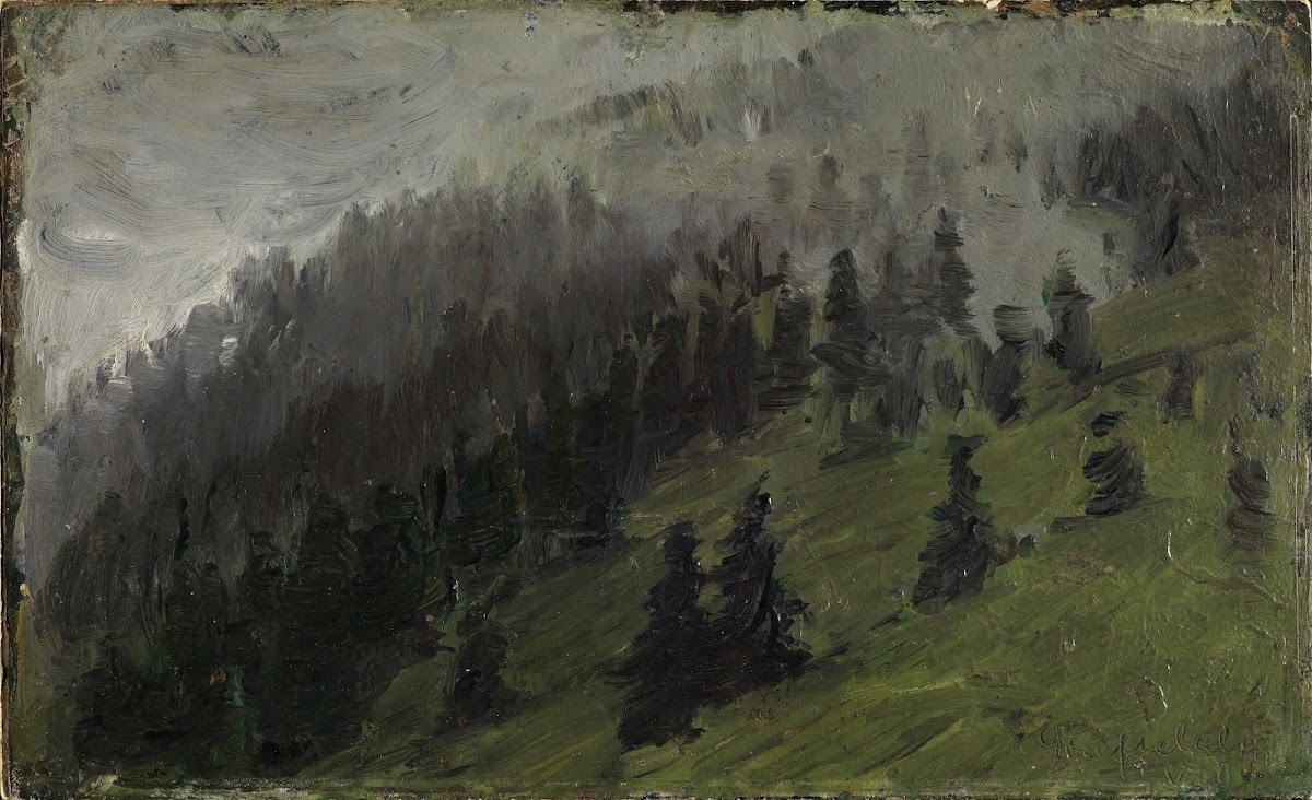 Nebel zwischen Tannen 1905