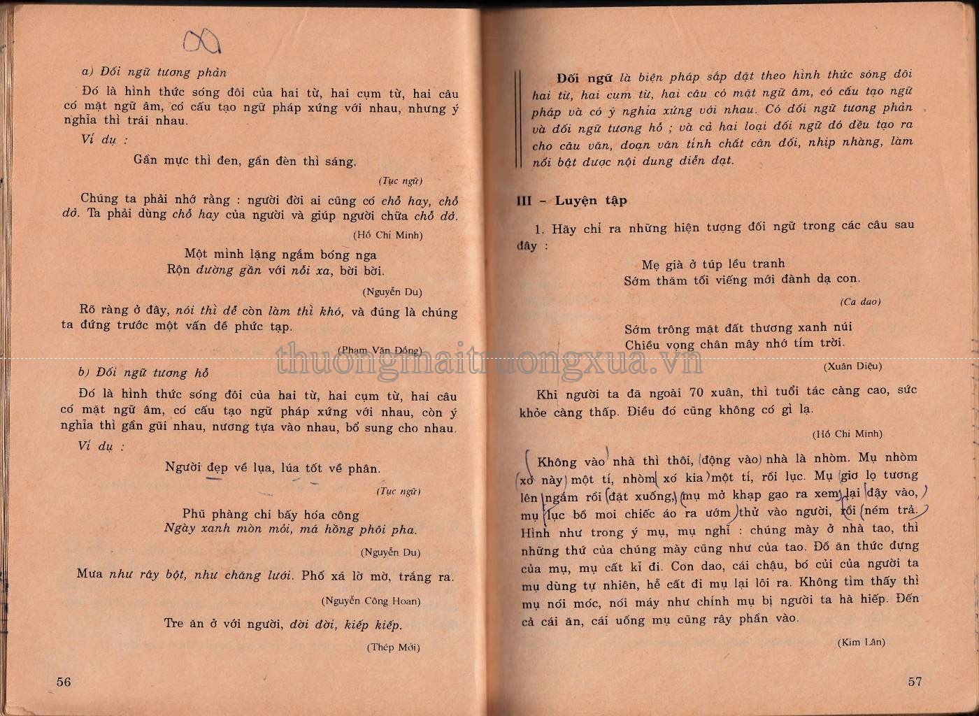 Tiếng Việt 8 (1999) - Trang 29