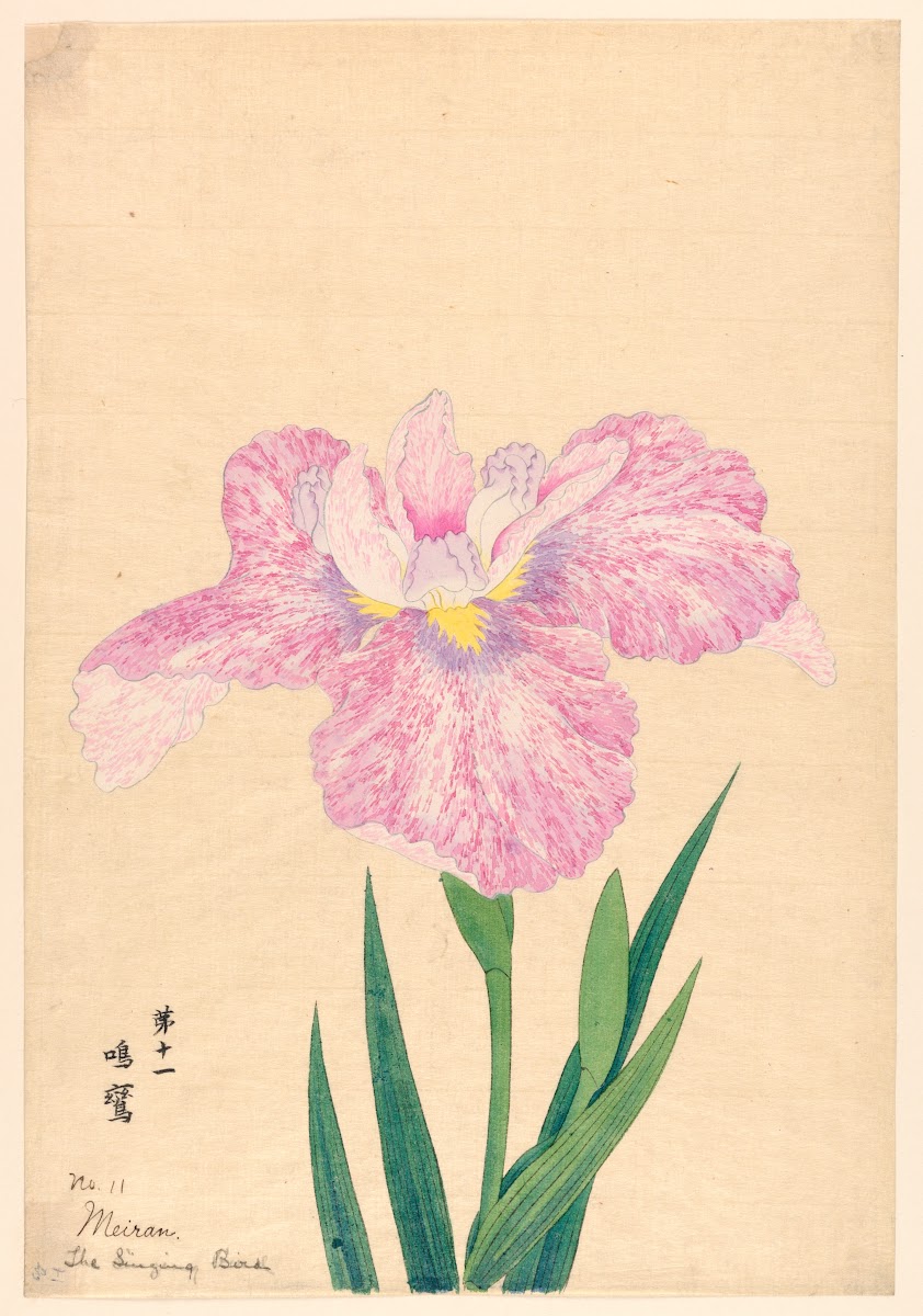 The Singing Bird Meiran 1910