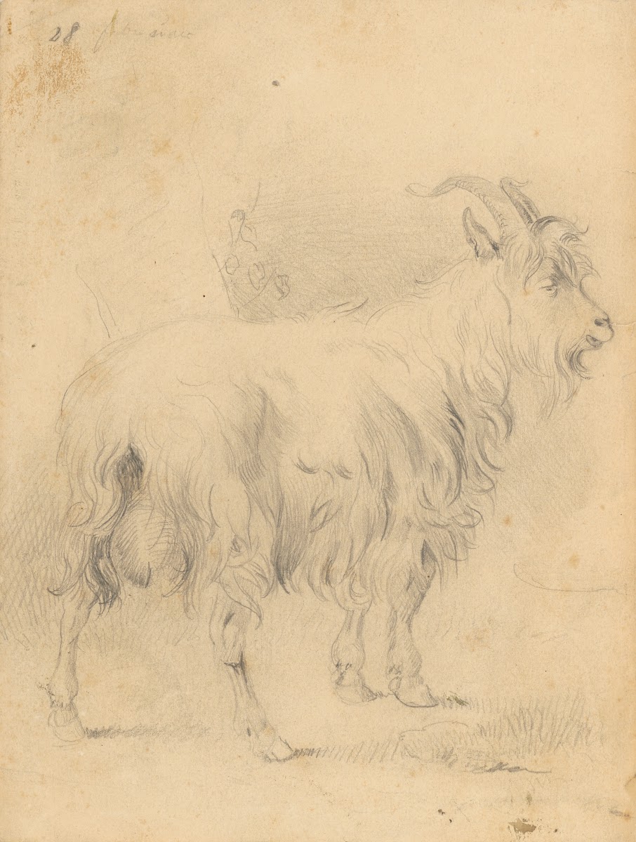 Kresba capa 18501857