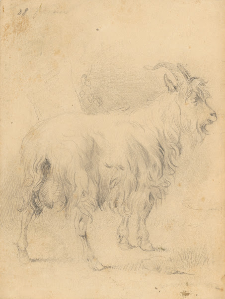 Kresba capa 18501857