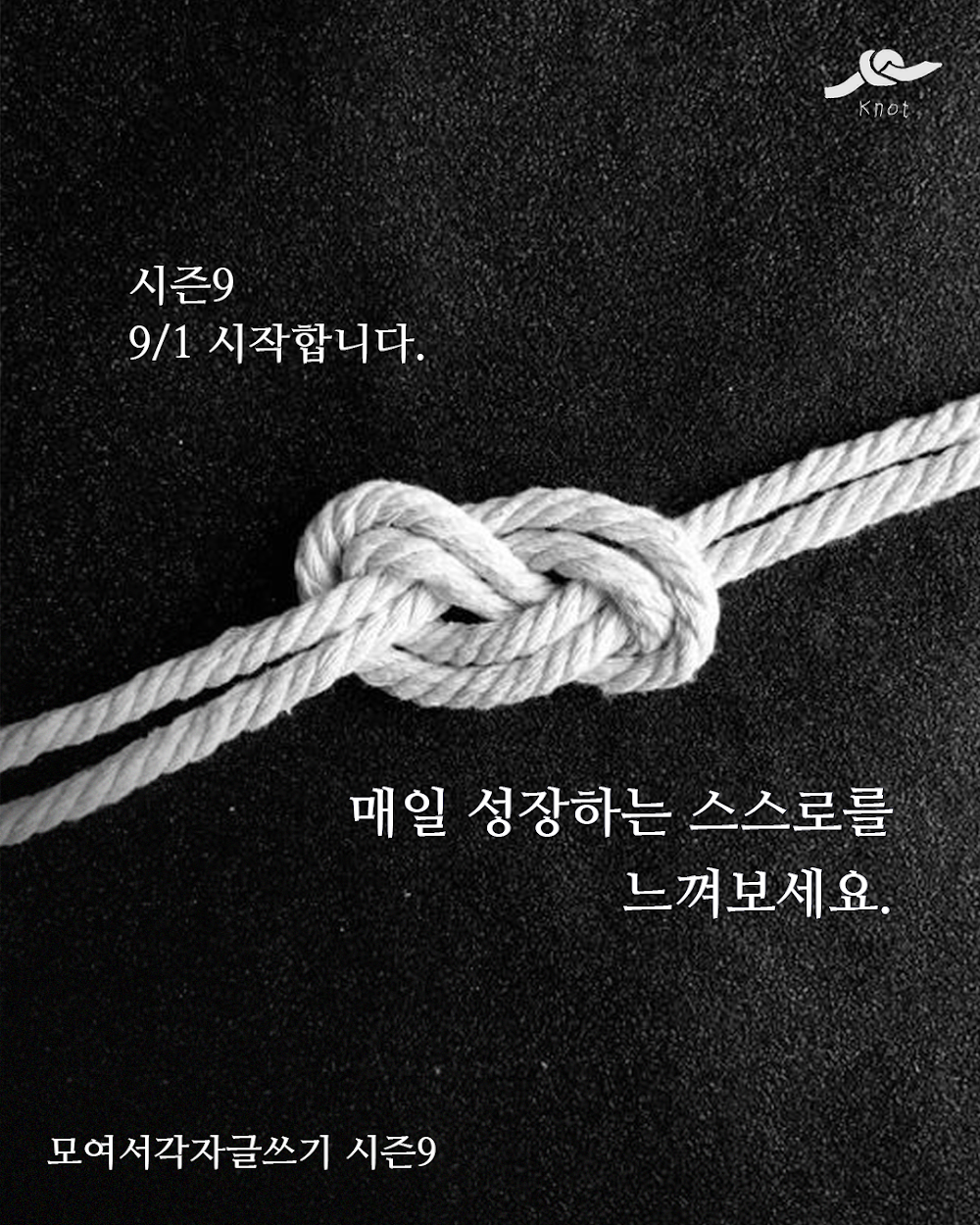 모각글 시즌9