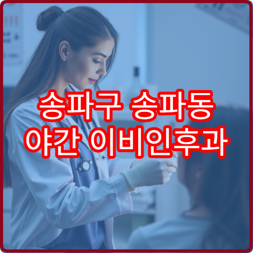 송파구 송파동 야간 이비인후과 진료 병원 귀 코 목 진료 정보