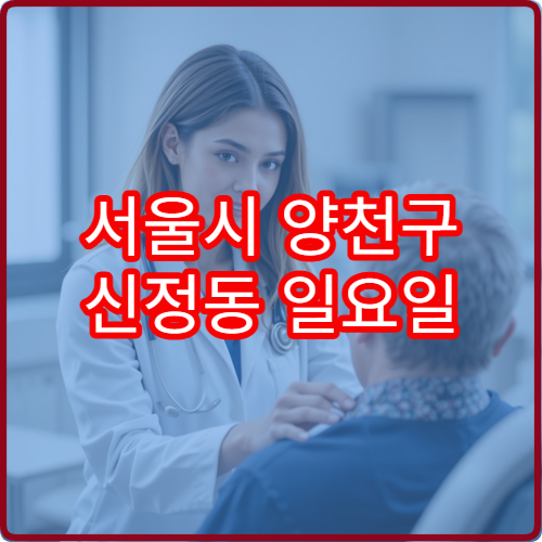 서울시 양천구 신정동 일요일 진료 가능한 한의원 담걸림 근육통 상담