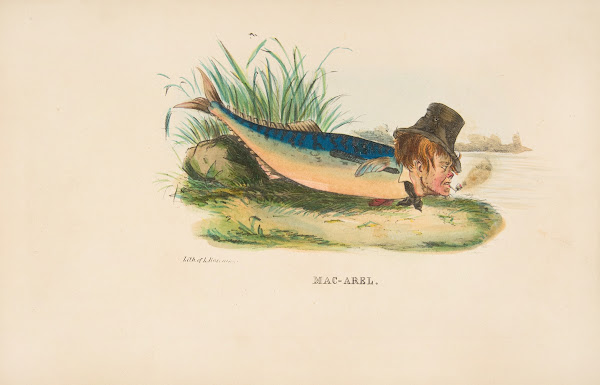Mac Arel 1851