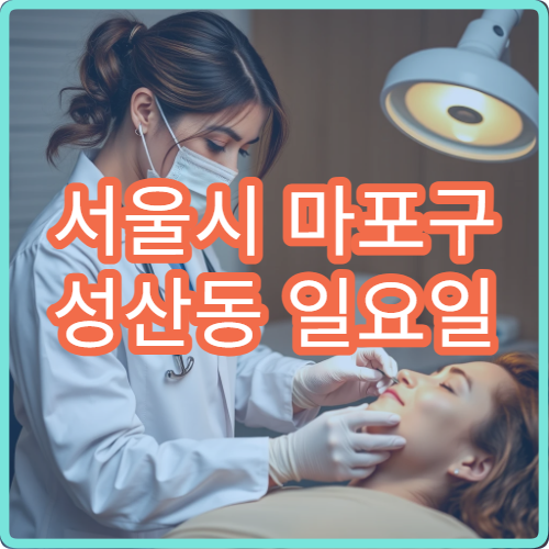 서울시 마포구 성산동 일요일 외과 상처 봉합 염증 진료