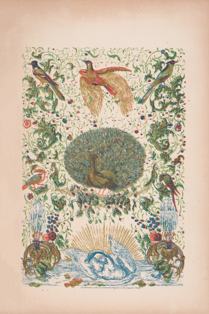 A Peacock And Other Birds Among Design Elements 1845