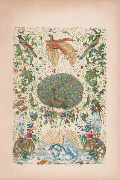 A Peacock And Other Birds Among Design Elements 1845