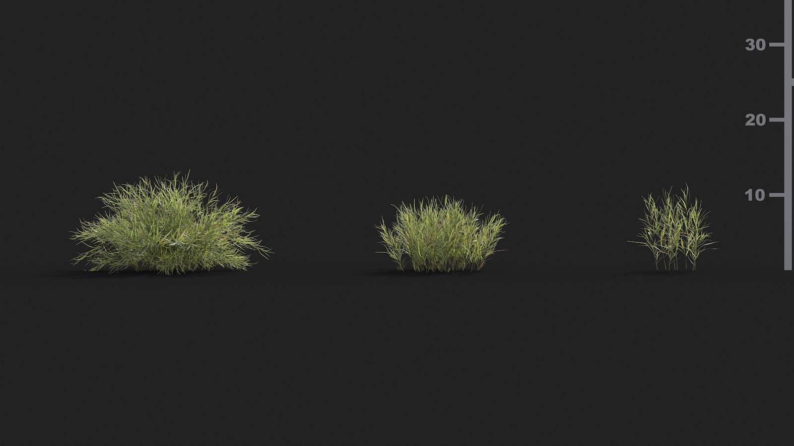 Maxtree - Plant Models Vol.21