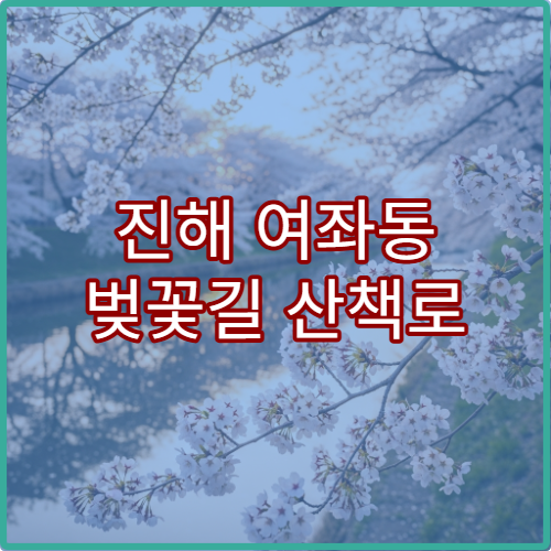 진해 여좌동 벚꽃길 산책로 길이와 소요시간 실시간 후기