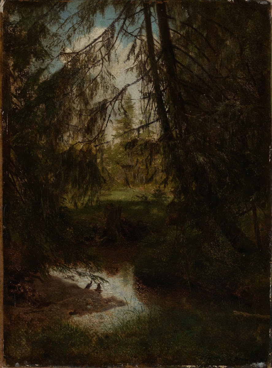 Tannen am Waldbach 1861