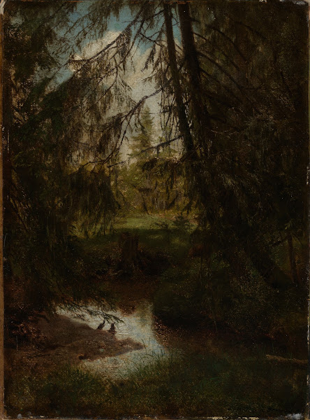 Tannen am Waldbach 1861