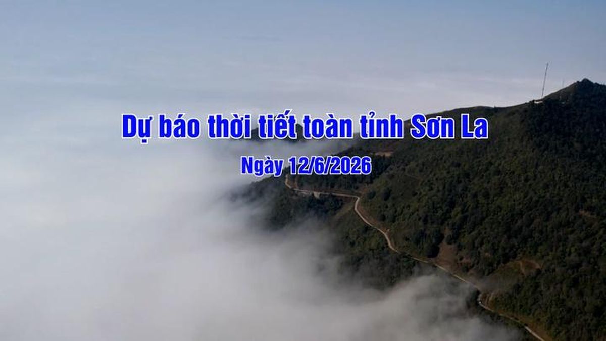Dự báo thời tiết toàn tỉnh Sơn La ngày 12/6/2026 - Báo Sơn La