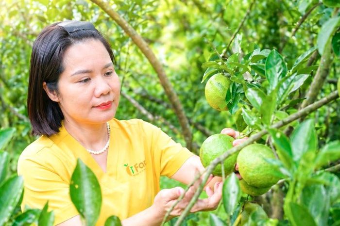 'Cú hích mềm' cho kinh tế tập thể chuyển mình - Tạp chí Vnbusiness