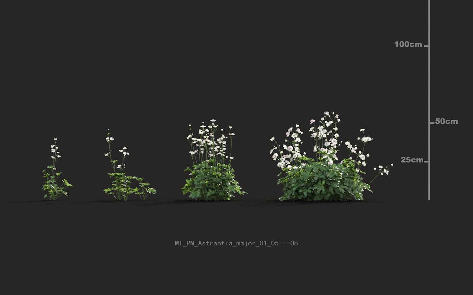 Maxtree - Plant Models Vol.20