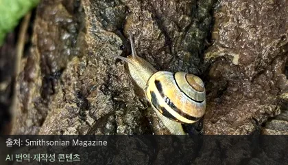 달팽이 점액 원리 - 끈적하거나 딱딱하거나! 달팽이 점액 원리 속 놀라운 비밀