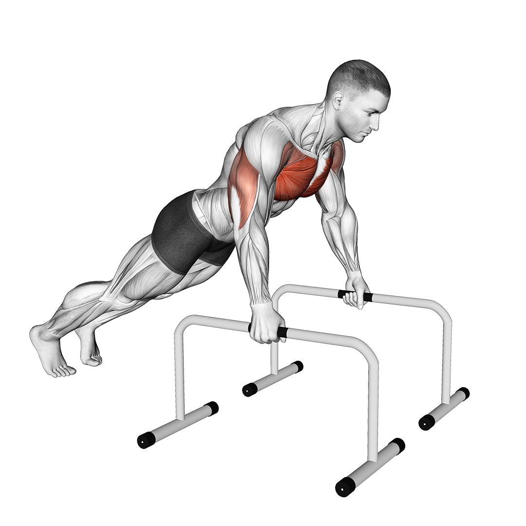 Push-Up on Handles