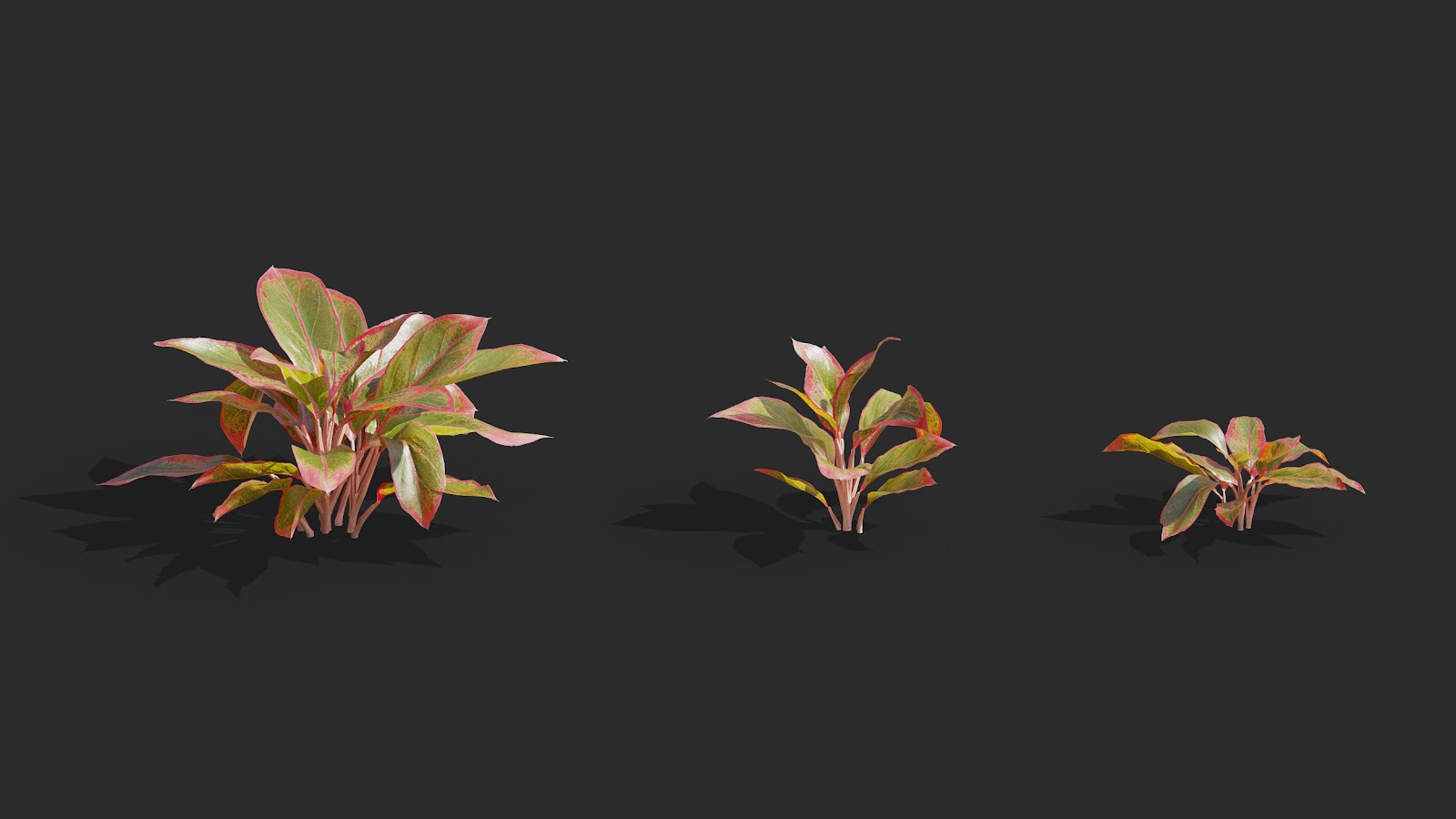 Maxtree - Plant Models Vol.62