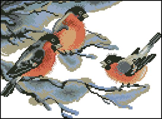 CMP 360433 Pattern