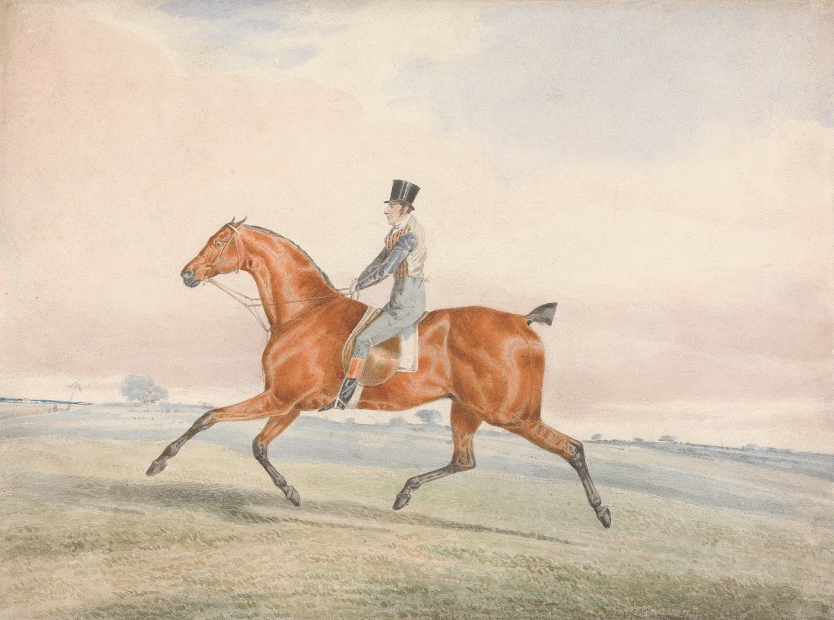 Exercising a Racehorse