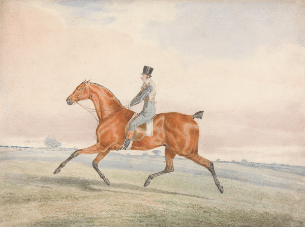 Exercising a Racehorse