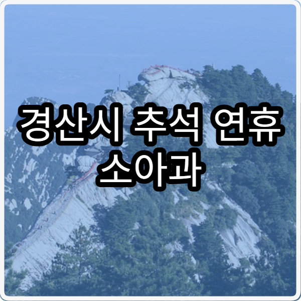 경산시 추석 연휴 소아과 진료 병원 쉽게 찾는 방법