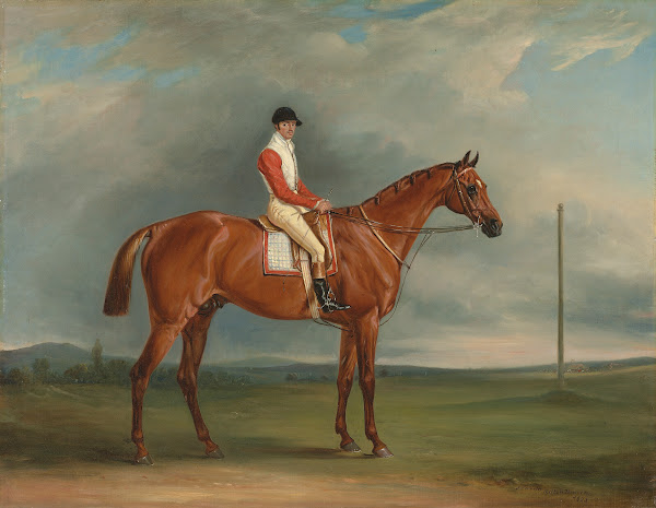Mr Sadlers Dangerous a chestnut racehorse with Chapple up 1833